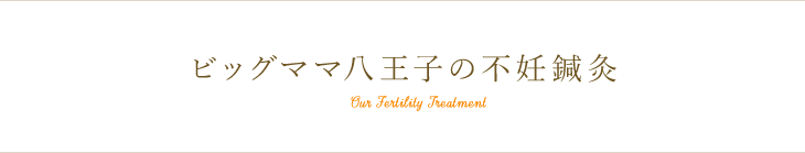 ビッグママ八王子掛川店の不妊鍼灸
