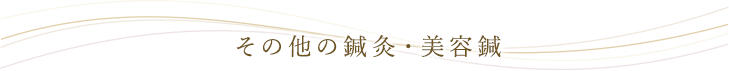 その他の鍼灸・美容鍼